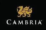 imageye___-_imgi_37_william-french-home-improvements-logo-cambria-500w